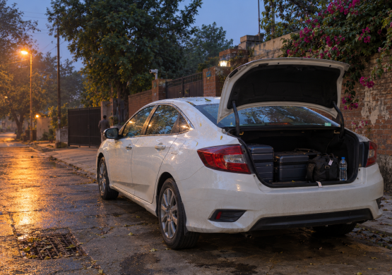 Twilight Departure by the Garden Gate
